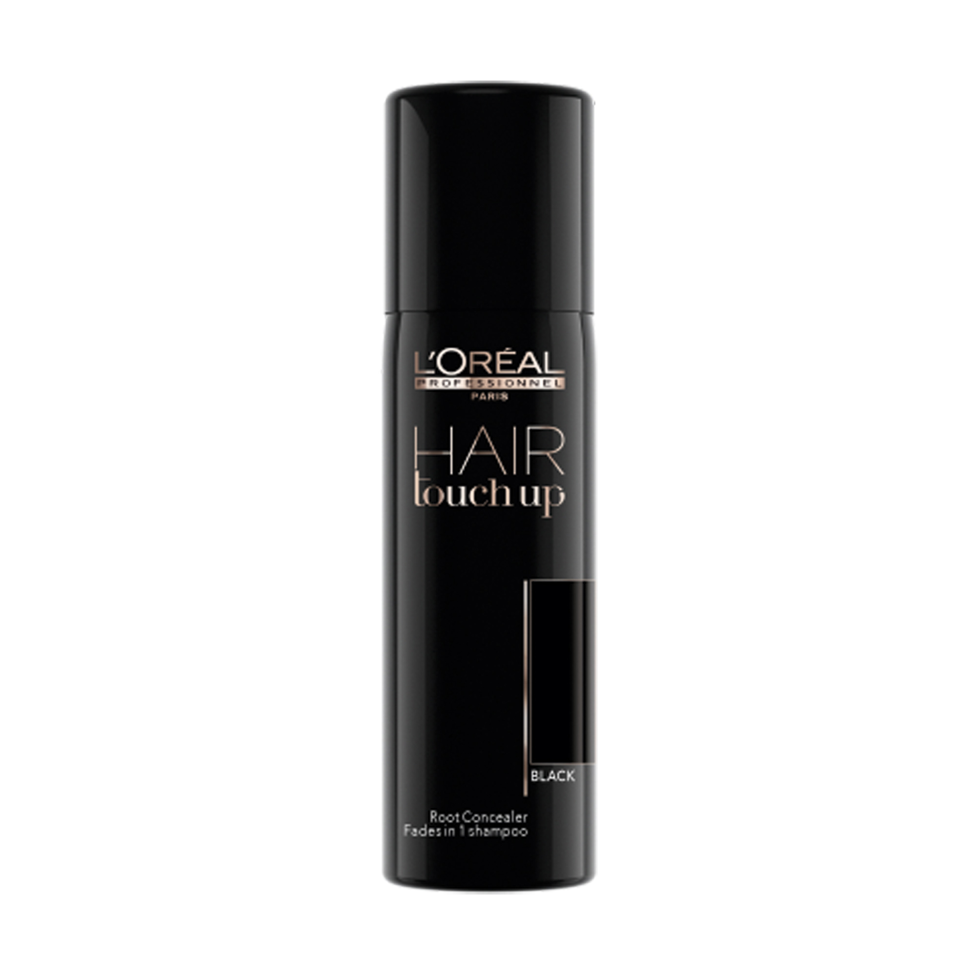 Hair Touch Up Black